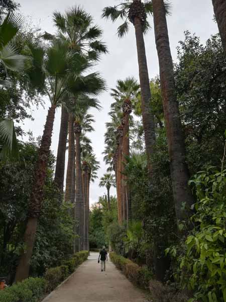 Athen Nationalgarten
