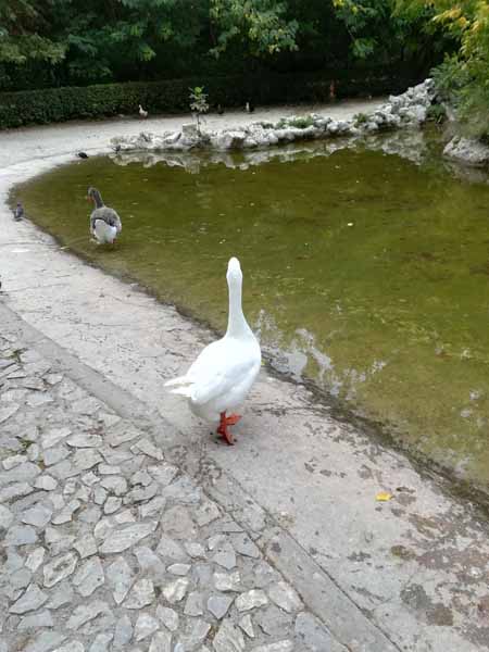 Athen Nationalgarten