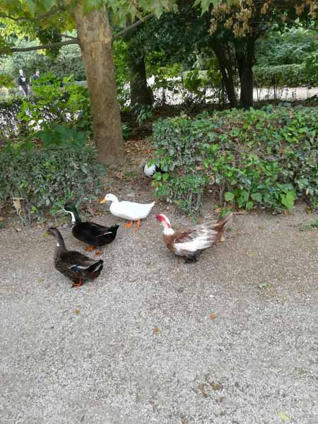 Athen Nationalgarten