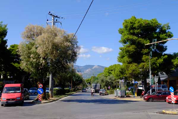 Kifissia Elaion