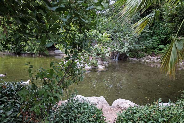 Athen Nationalgarten Teich