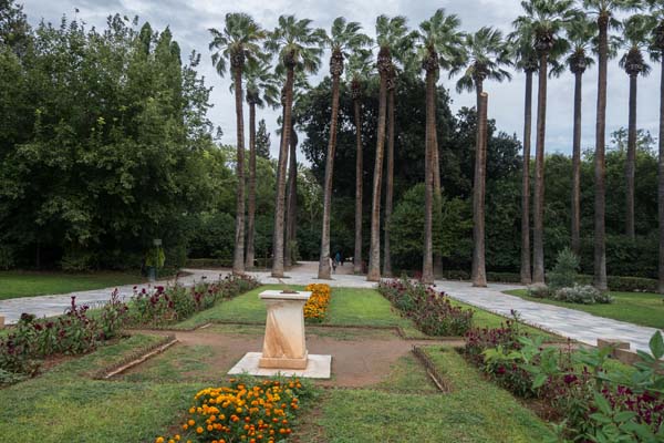 Athen Nationalgarten Washingtonpalmen