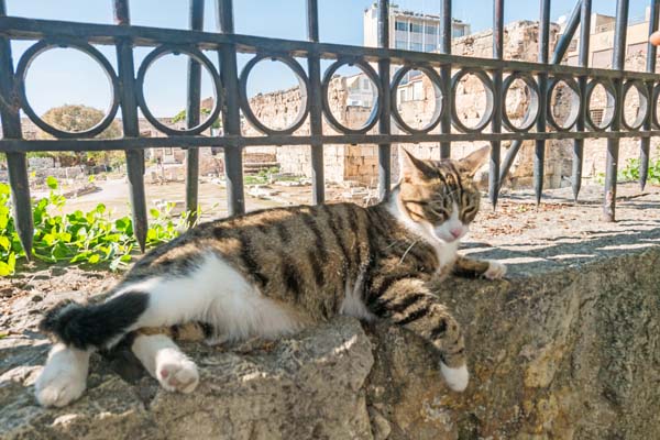 Athen Plaka Adrianou