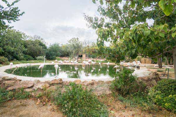 Attischer Zoologischer Park