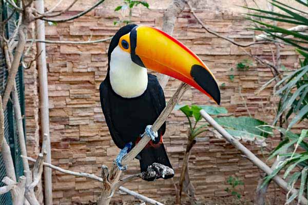 Attischer Zoologischer Park
