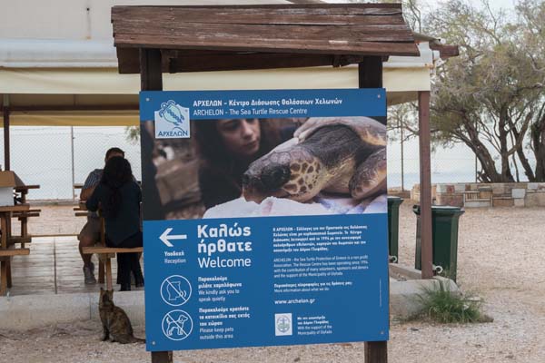 Sea Turtle Rescue Centre