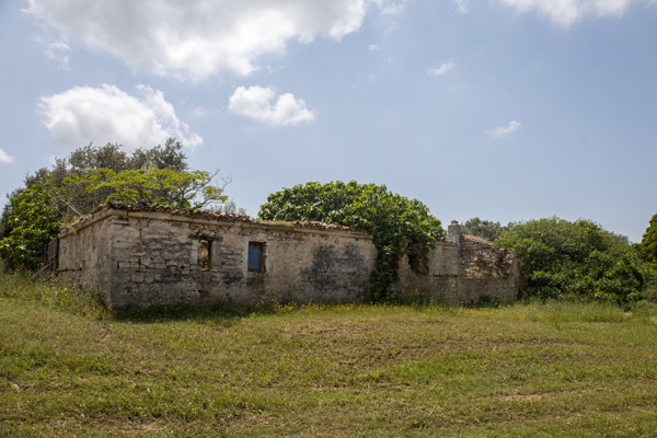 Nea-Fokea Ruine.jpg