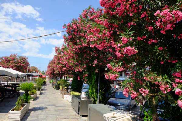 Chalkida Promenade