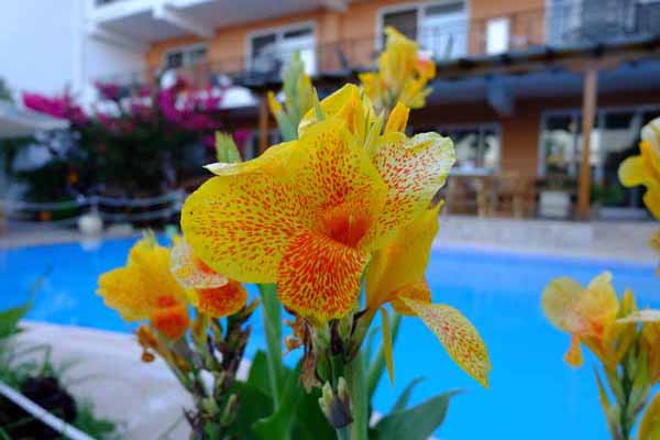 Hotel Grand Nefeli