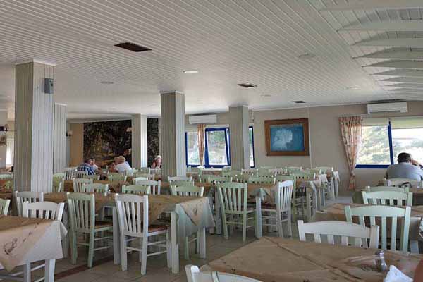 Hotel Venus Beach