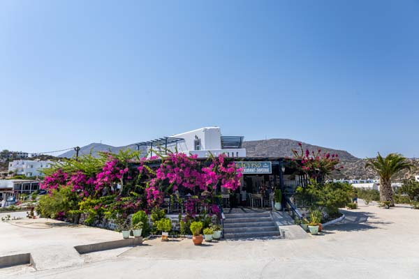 Karpathos Lakki Taverne