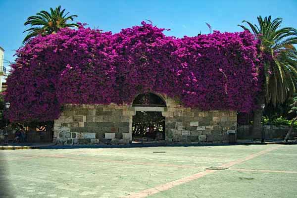 Kos Stadt Kazouli Square