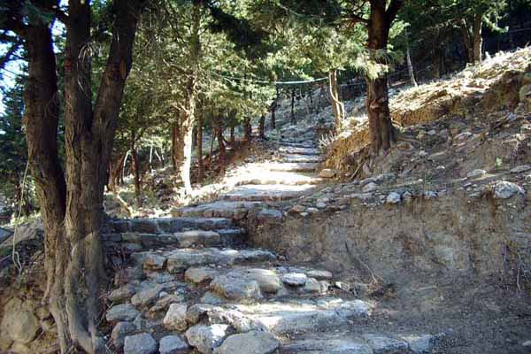 Palio Pyli