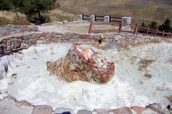 Fossilienwald