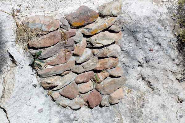 Fossilienwald