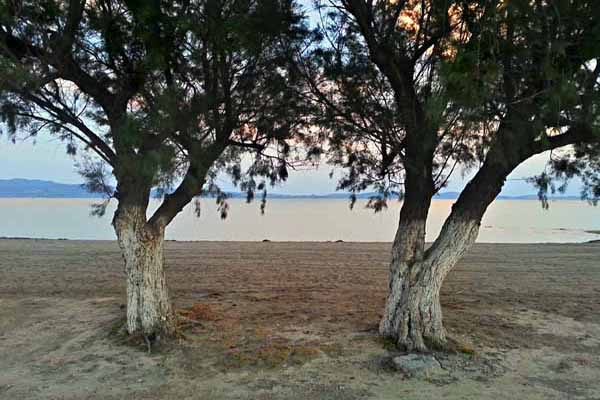 Strand von Skala Kallonis