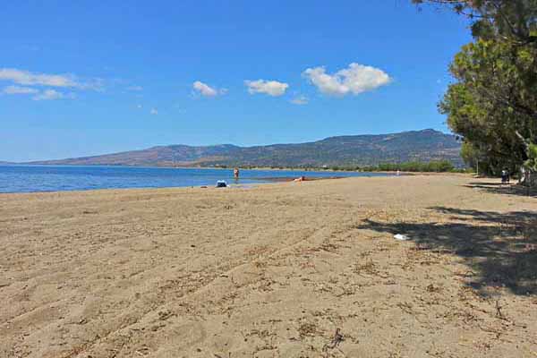 Skala Kallonis
