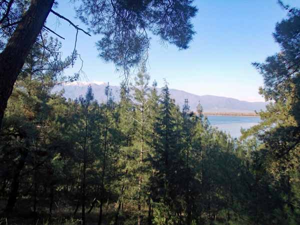 Kerkini-See Natur