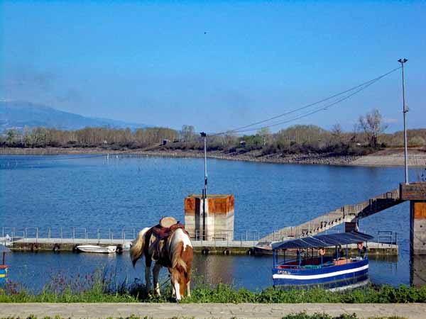 Kerkini-See