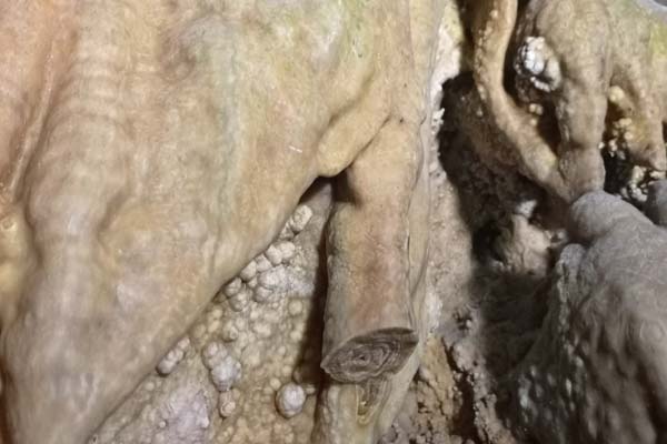 Kilkis Cave St.Georgiou