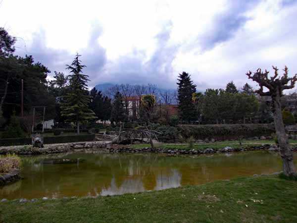 Naoussa