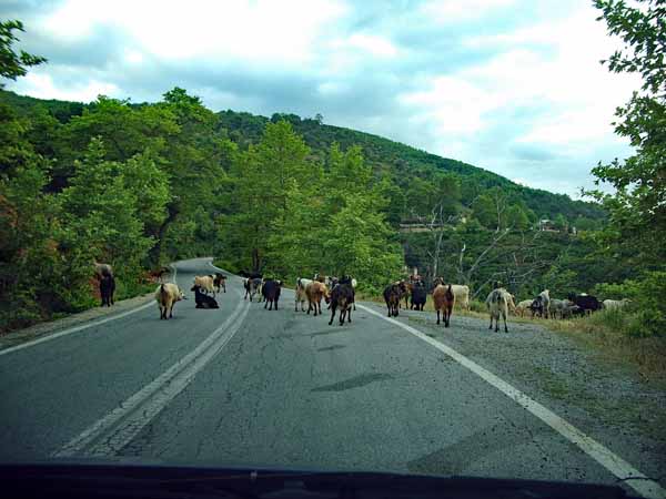 Olympos