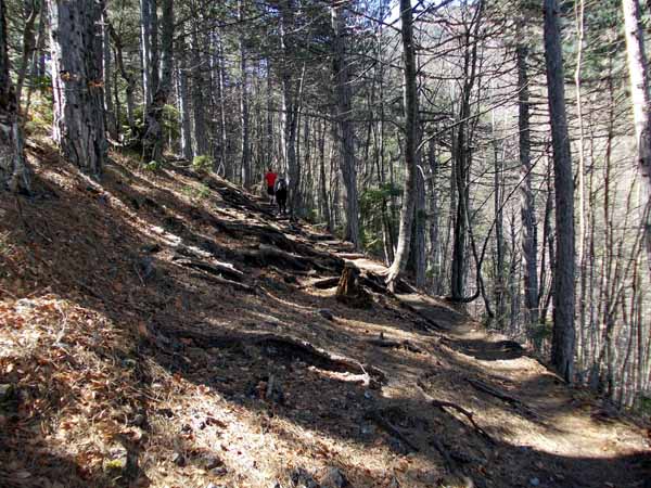 Olympos