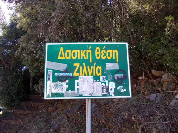 Olympos Zilnia