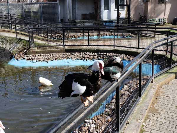 Xanthi Vogelpark