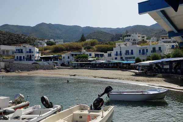 Apollonas