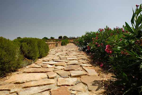 Temple_Of_Demeter
