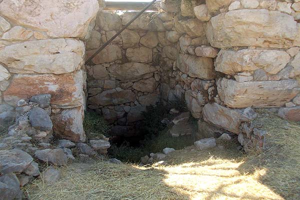 Tiryns