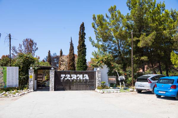 Farma of Rhodes