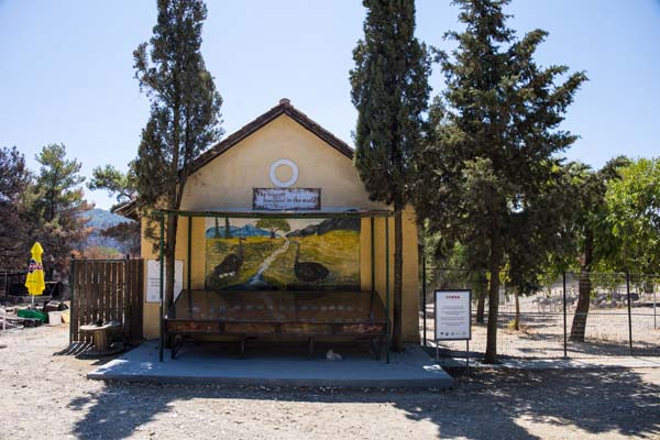 Farma of Rhodes