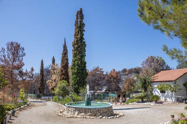 Farma of Rhodes