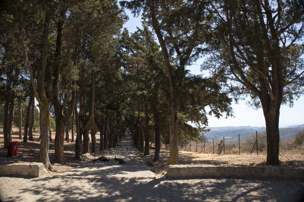 Filerimos Stra&szlig;e zum Kalvarienberg