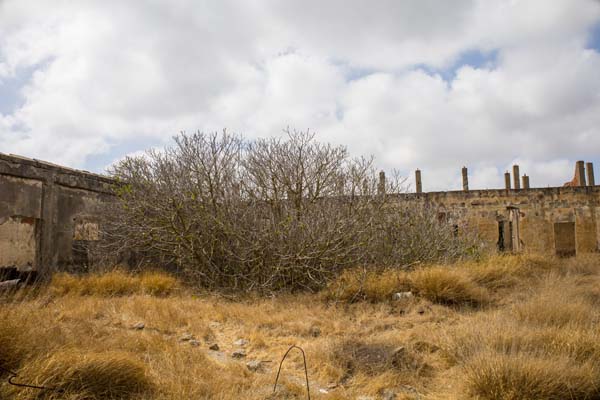 Rhodos Kattavia Old Silk Factory