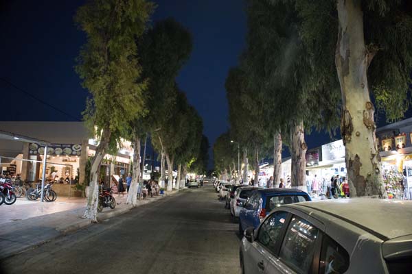 Rhodos Kolymbia Eucalyptus-Street