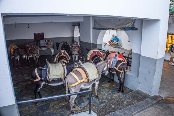 Lindos Esel