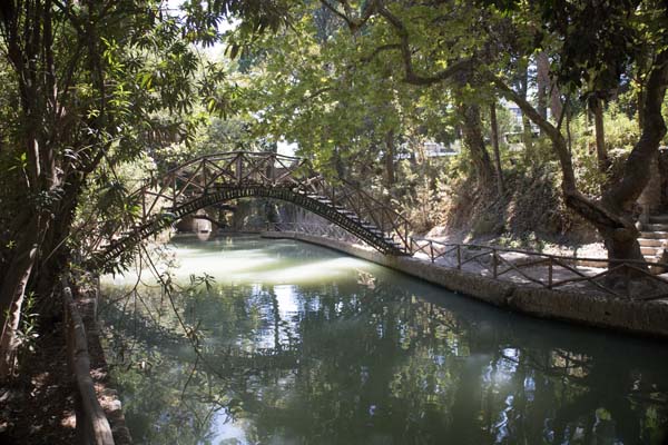 Rodini Park