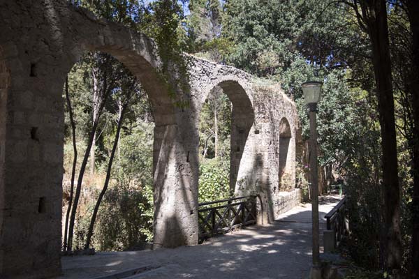 Rodini Park