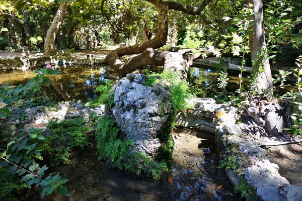 Rodini Park