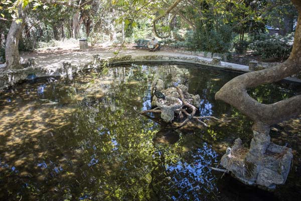 Rodini Park
