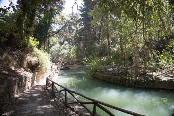 Rodini Park