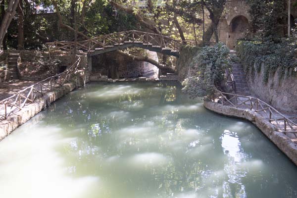 Rodini Park