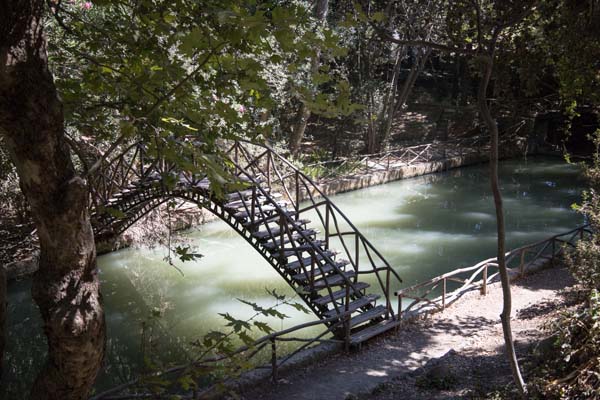 Rodini Park