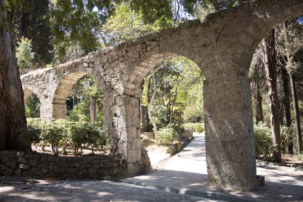 Rodini Park