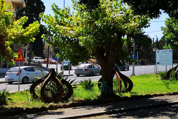 Rodini Park