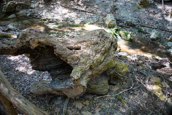 Schmetterlingstal Petaloudes