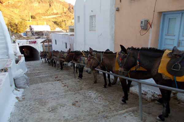 Eselreiten Fira